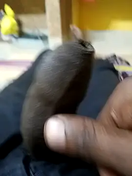 Tamil boy age28 online show from December 2025 03:35:01 AM