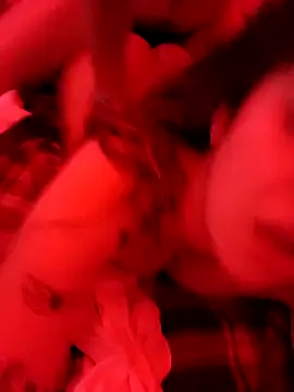 Snapshot of Elenitacandy chatting on November 2025 04:18:02 PM Elenitacandy online show from November 2025 04:18:02 PM