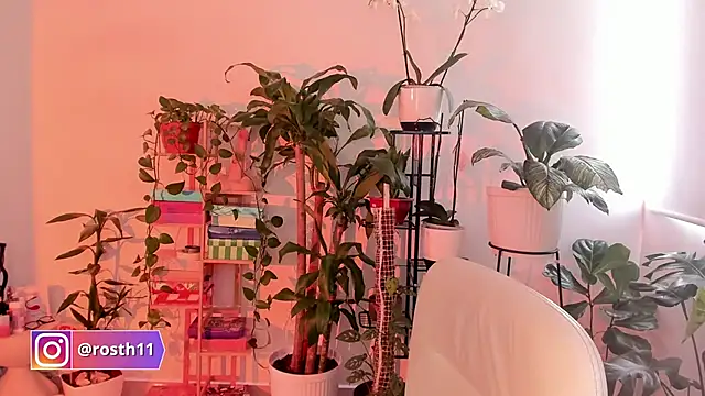 rossth1 online show from October 2025 07:43:01 PM