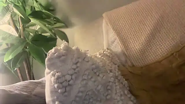 Snapshot of toptugger chatting on October 2025 07:27:01 PM toptugger online show from October 2025 07:27:01 PM