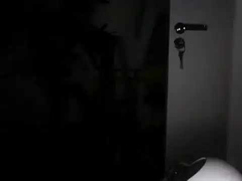 funguybr36 online show from February 2025 07:53:02 PM