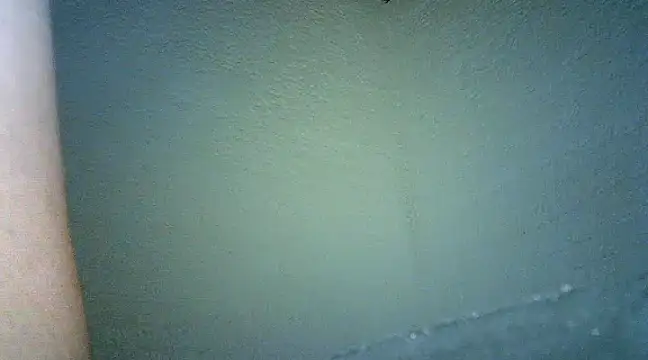 Bellabeltrann online show from January 2025 09:47:01 AM