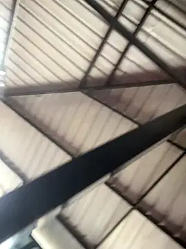 Berry Bans online show from December 2025 05:42:02 PM