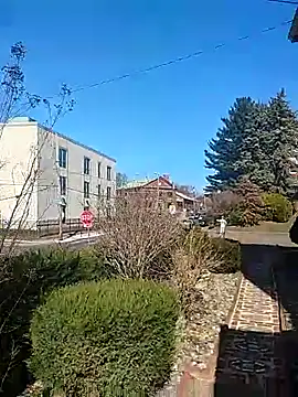 DARemo42O online show from March 2025 02:43:02 PM