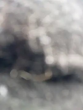  andrea30 online show from October 2025 12:06:02 PM