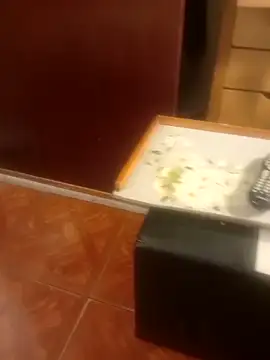 jmliimonsito online show from April 2026 11:36:01 PM