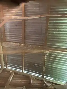 phola12 online show from February 2025 07:47:02 PM