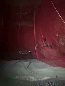 amy gata online show from February 2026 08:55:02 AM