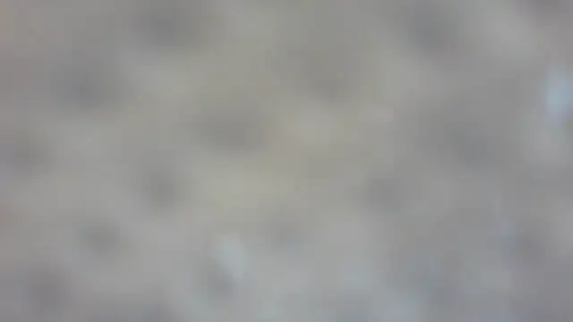 RoseRed69 online show from October 2025 03:14:01 AM