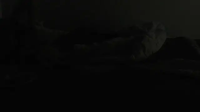 flexingplexico online show from January 2025 07:13:02 PM