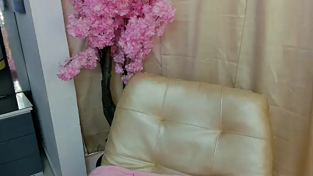  cat 18 online show from January 2025 01:47:02 PM