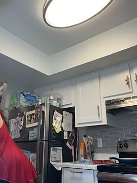 Snapshot of SafeinouterSpace chatting on February 2026 06:26:02 PM SafeinouterSpace online show from February 2026 06:26:02 PM