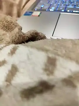 Snapshot of Bemgalado chatting on January 2025 08:22:01 PM Bemgalado online show from January 2025 08:22:01 PM