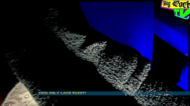 Deutscher Gro8schwanz 88 online show from December 2024 11:45:02 AM