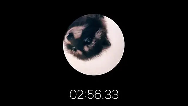 les mod sc2 online show from February 2025 01:59:01 PM