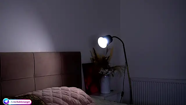 Snapshot of babilonian chatting on March 2026 04:43:01 PM babilonian online show from March 2026 04:43:01 PM