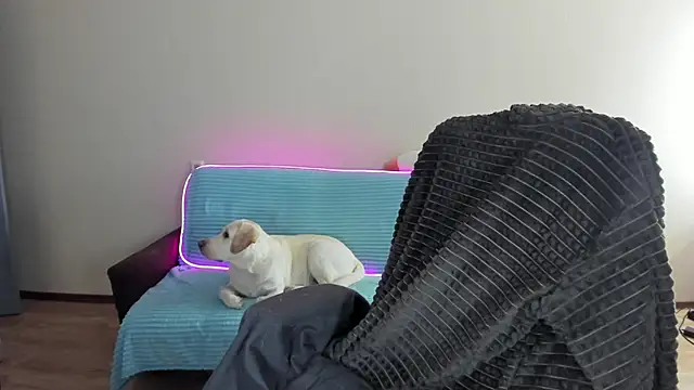 Liam sexy1 online show from December 2024 08:06:02 AM