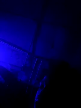 jordontheone1 online show from November 2025 09:48:01 PM