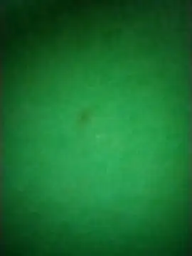 Zane Natha online show from November 2025 12:53:01 AM