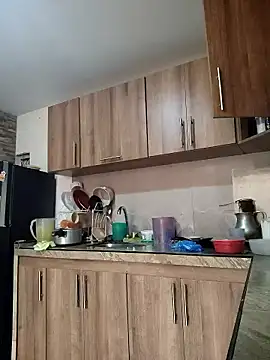 Snapshot of brigitht chatting on January 2026 07:19:02 PM brigitht online show from January 2026 07:19:02 PM