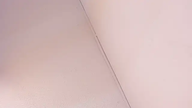 Black Rose2 online show from March 2026 11:45:02 AM