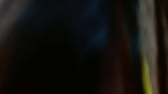 Melikasweetz online show from December 2024 08:32:02 PM