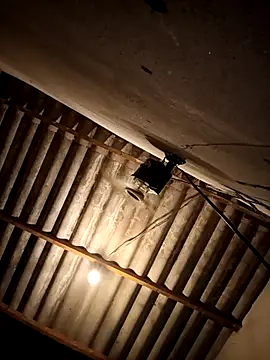 Snapshot of eupica1195 chatting on October 2025 04:22:02 AM eupica1195 online show from October 2025 04:22:02 AM