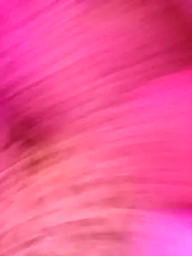 AvaChannel online show from December 2025 10:55:01 AM