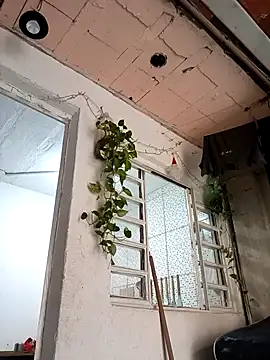 Brasilsexxx online show from December 2025 02:45:02 PM