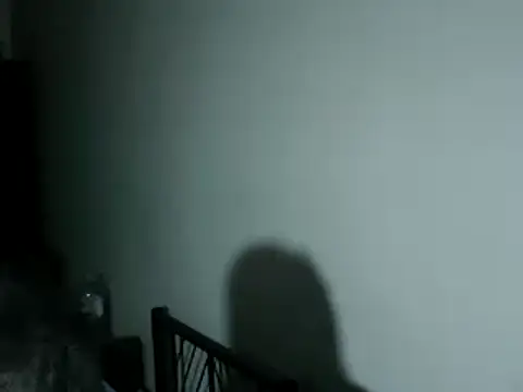 100Tauros online show from December 2025 06:24:02 PM