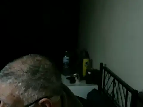 100Tauros online show from April 2026 09:26:02 PM