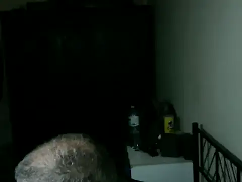 100Tauros online show from April 2026 11:46:02 AM