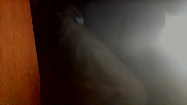 nice6incs online show from November 2025 11:05:01 PM