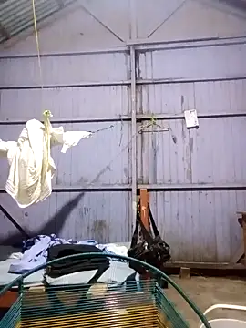 leyel00155 online show from March 2026 12:17:02 AM