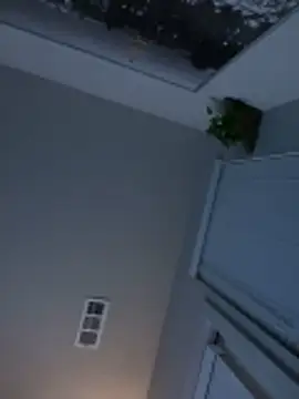 goldbuni online show from November 2025 12:11:01 PM