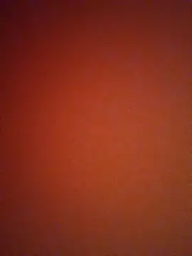 mendelicius online show from January 2025 12:18:01 PM