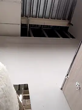 Morphine 666 online show from December 2024 06:13:02 AM