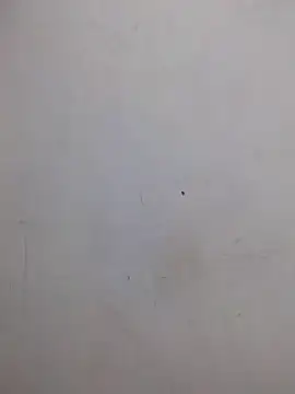 AmnionicDemeanor online show from October 2025 04:24:02 AM