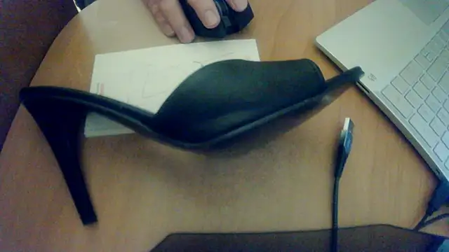 styrialive online show from February 2025 07:21:01 PM