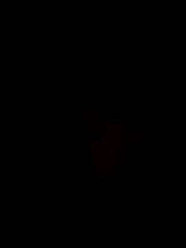 Snapshot of Ner0924_N chatting on December 2024 04:31:01 PM Ner0924 N online show from December 2024 04:31:01 PM