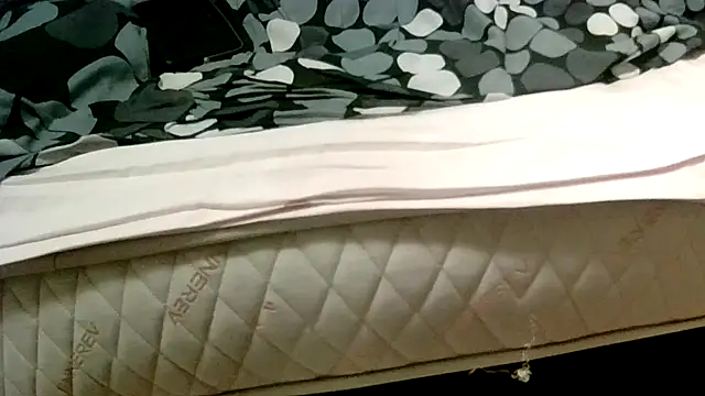 robertone80 online show from March 2025 02:30:02 AM