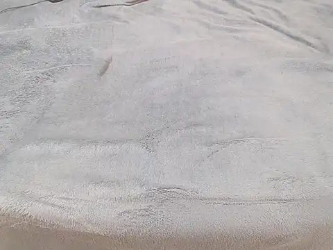 Tequila Bby online show from December 2024 06:10:02 AM