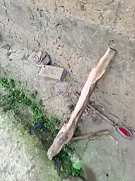 hairipussy2 online show from March 2025 12:50:02 AM