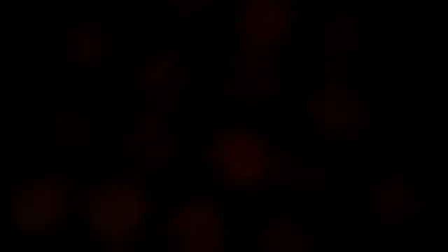 Snapshot of leatherz69 chatting on February 2025 07:12:01 AM leatherz69 online show from February 2025 07:12:01 AM