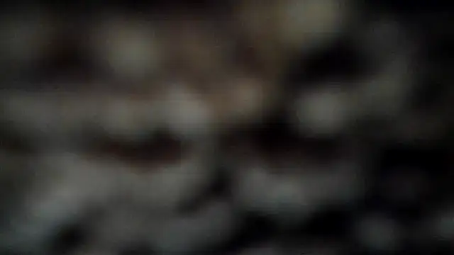 Snapshot of leatherz69 chatting on March 2025 04:02:02 AM leatherz69 online show from March 2025 04:02:02 AM