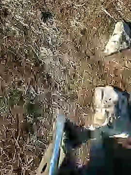 murokkk31 online show from January 2025 08:09:02 AM