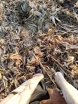 murokkk31 online show from September 2025 04:03:02 AM