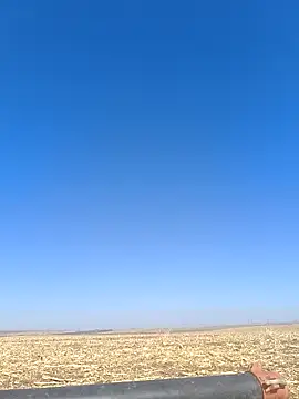 murokkk31 online show from October 2025 08:15:02 AM