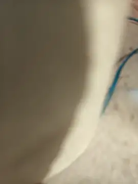 cachondoyardiente online show from March 2025 02:00:01 PM