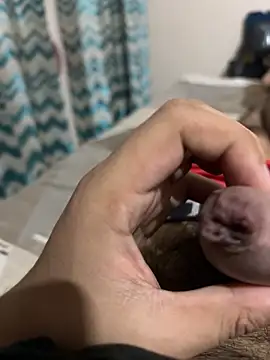 thecockybouy online show from March 2025 04:37:02 AM